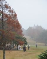 ファイナルクォリファイングトーナメント第2日は、一時中断中