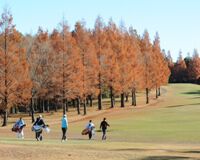 ファイナルクォリファイングトーナメント第3日は、順調にプレー再開!