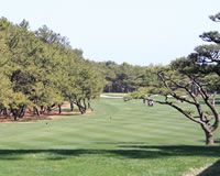 “宮崎合宿”はいよいよ佳境･･･！