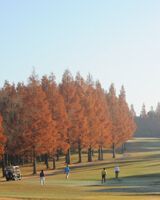 ファイナルクォリファイングトーナメント第1日は、30分繰り下げてスタート開始