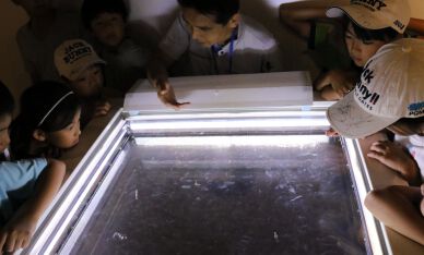 社会科見学会を実施（スナッグゴルフ対抗戦JGTOカップ）(7月17日)