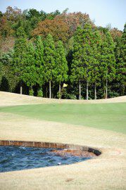 12月6日(土)第3日は、キャンセルに