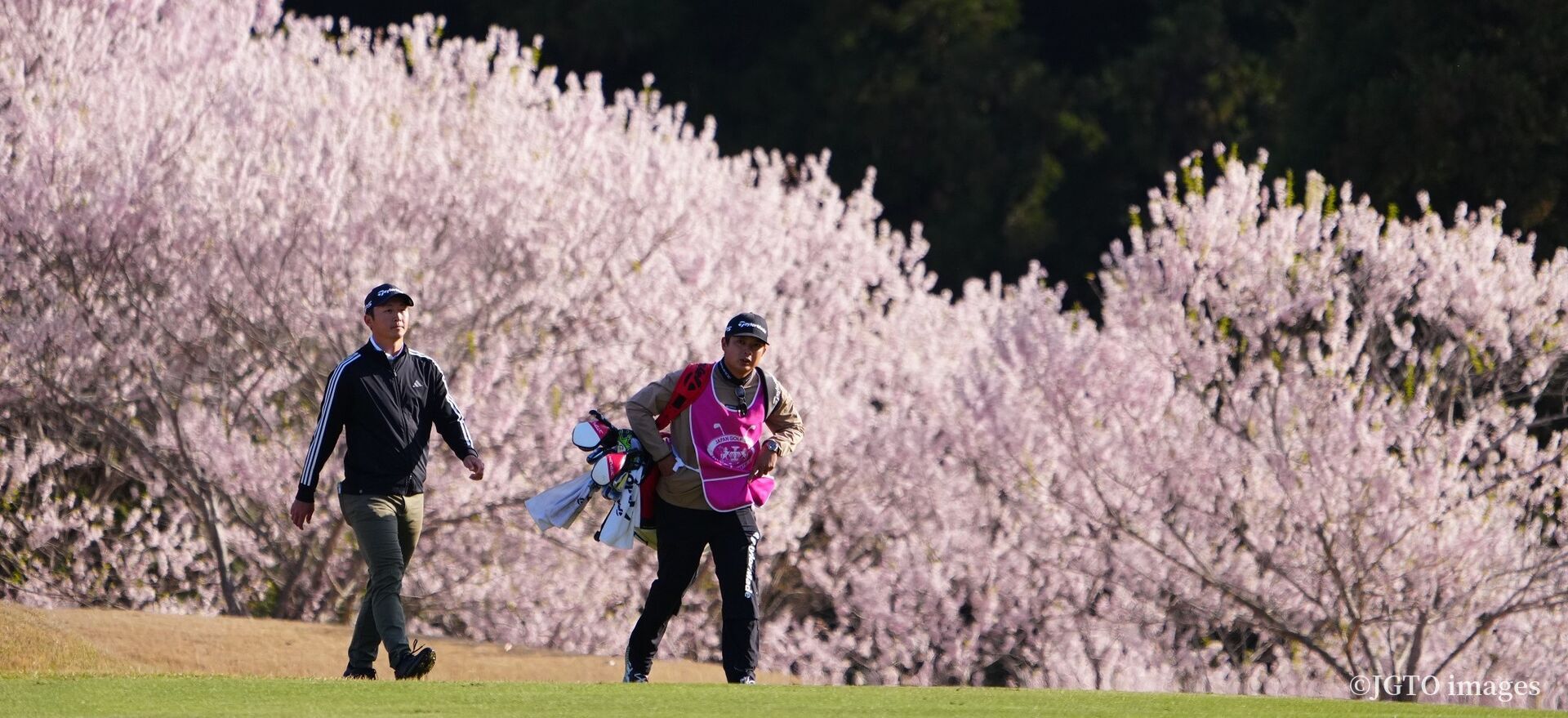 テレビ中継のお知らせ 日本ゴルフツアー機構 The Official Site of JAPAN GOLF TOUR