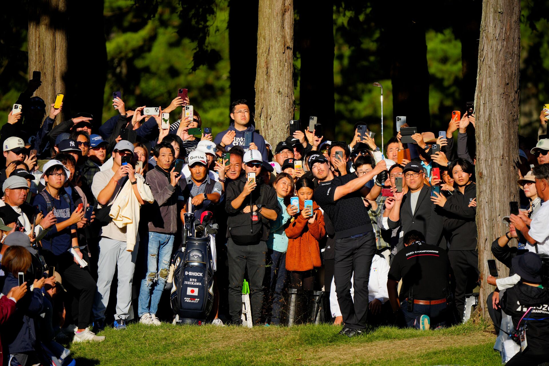 Inspired by Ishikawa, Asian America Cheers World Series Champion