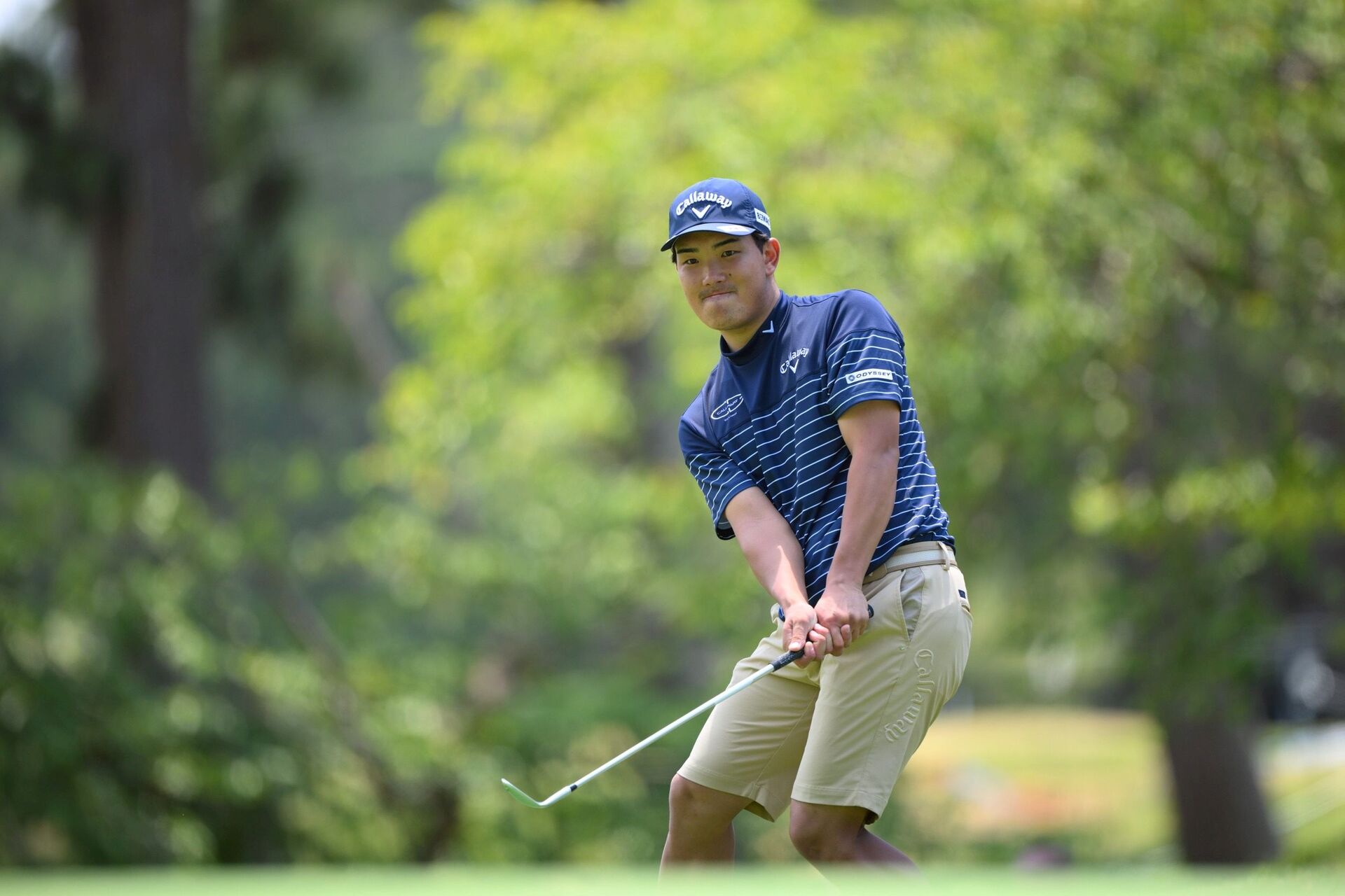 ともJGA公認 JAPAN OPEN GOLF 2024 3大会記念C B Japan Open Golf Championship 2024 - 日本ゴルフツアー機構