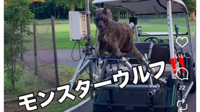 モンスターウルフが巡回中です🐺🚨