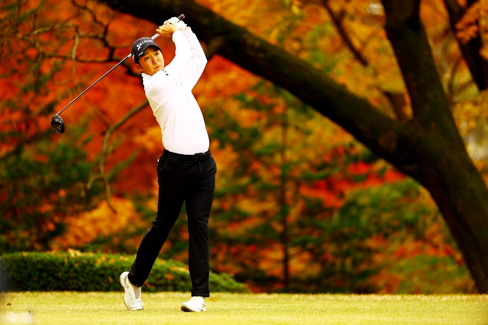 Ogiso assumes control at season-ending Golf Nippon Series JT Cup