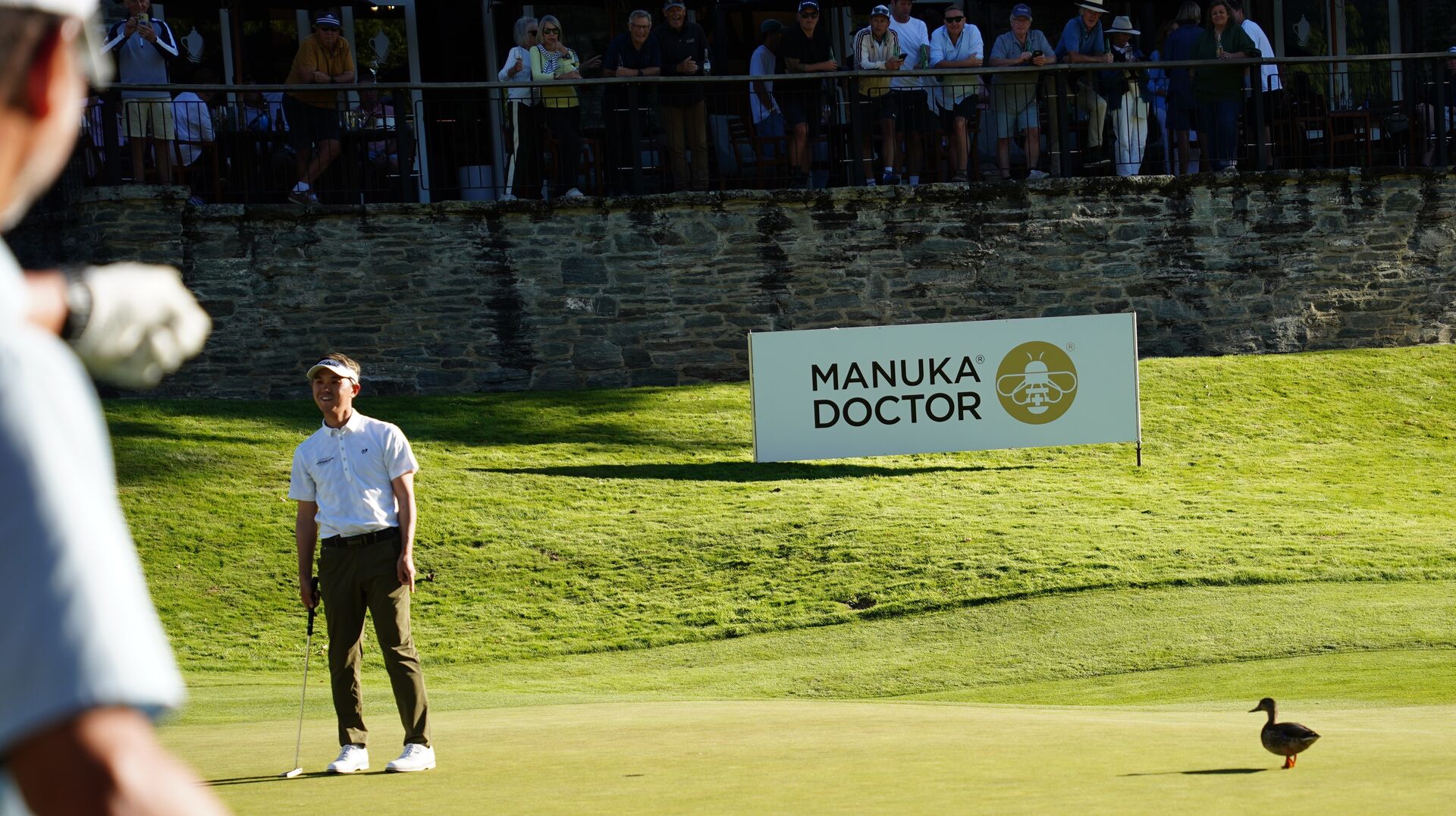 ニュージーランドオープン⛳プレーの進行状況と最新スコア